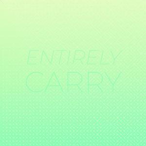 อัลบัม Entirely Carry ศิลปิน Various