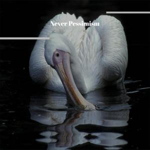 Listen to Wherever Ascendency song with lyrics from Piah Liel