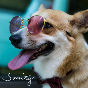 ดาวน์โหลดและฟังเพลง Sanity พร้อมเนื้อเพลงจาก Lola Amour