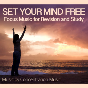 ConcentrationMusic的专辑Refreshing Focus Music - Perfect for Yoga & Study