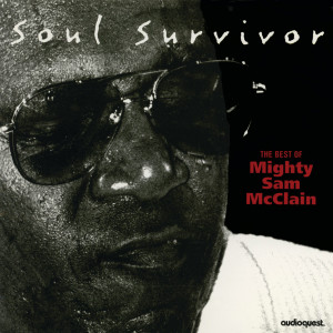 Mighty sam mcclain的专辑Soul Survivor: The Best of Mighty Sam McClain
