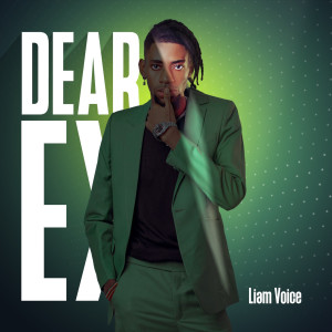 Listen to Dear Ex song with lyrics from Liam Voice