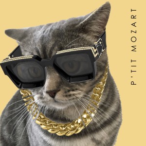收聽Laristo的P'tit Mozart歌詞歌曲