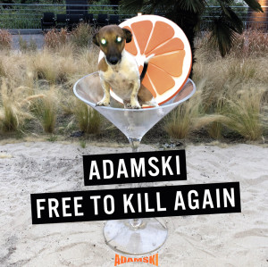 收聽Adamski的Don't Killer Animals歌詞歌曲
