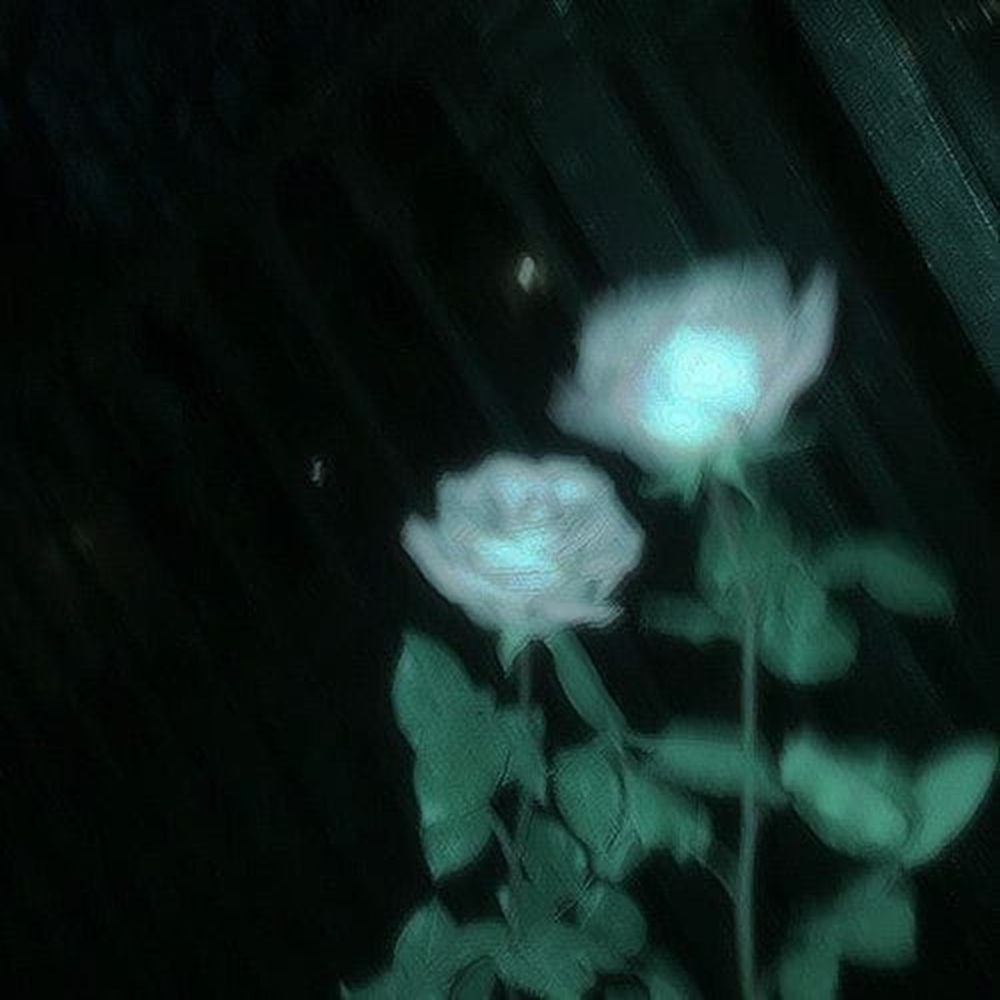 Wrapped in Silence