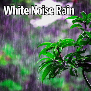Nature Music的专辑White Noise Rain