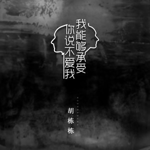 ดาวน์โหลดและฟังเพลง 我能夠承受你說不愛我 พร้อมเนื้อเพลงจาก 胡栋栋