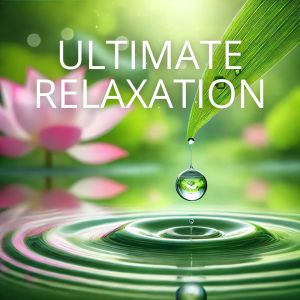 อัลบัม Ultimate Relaxation (Piano Music for Wellness, Spa, Massage, Shiatsu, Study, Focus, Deep Relaxation) ศิลปิน Relaxation Area