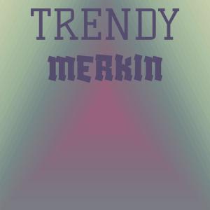 Various Artists的專輯Trendy Merkin