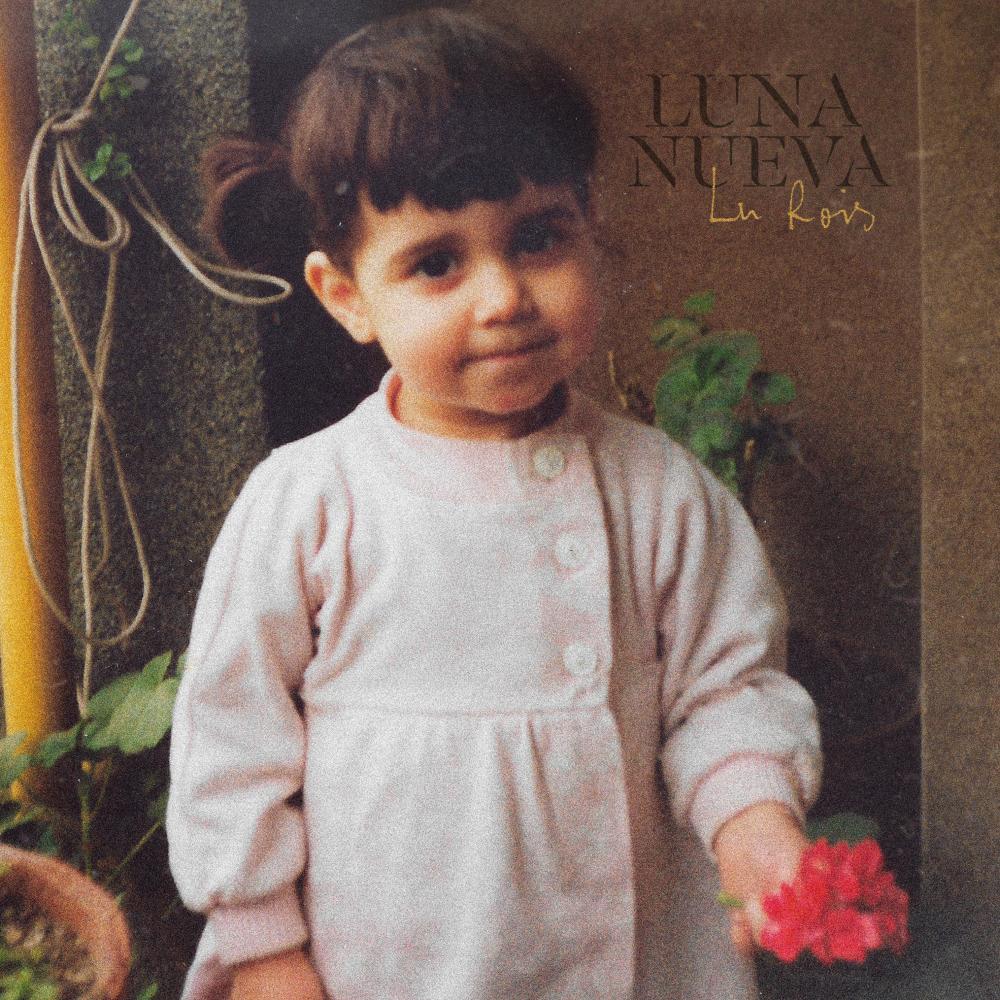 Luna Nueva