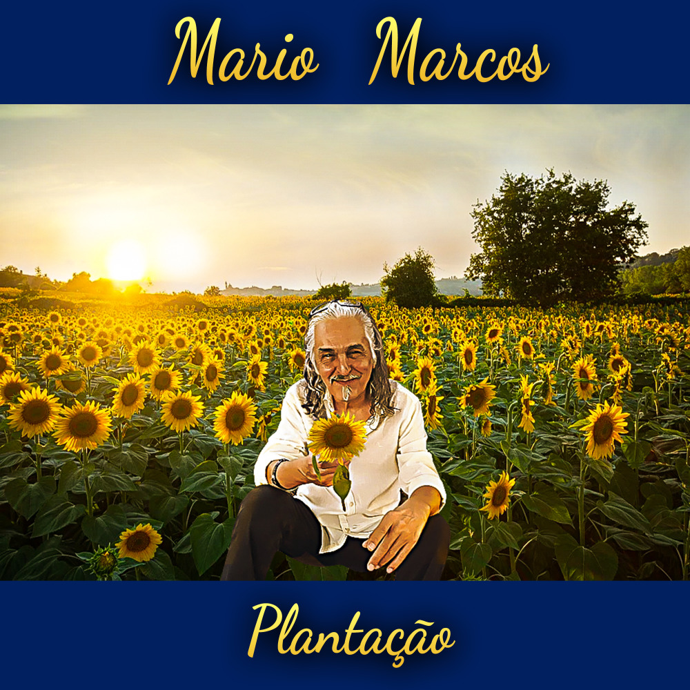 Plantação