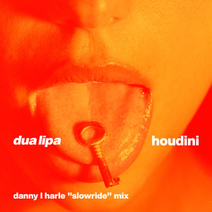 Danny L Harle的專輯Houdini (Danny L Harle Slowride Mix)