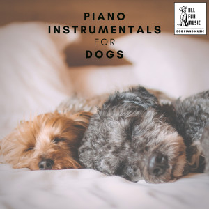 ดาวน์โหลดและฟังเพลง Piano For Dogs Sleep Aid พร้อมเนื้อเพลงจาก Jingle Cats