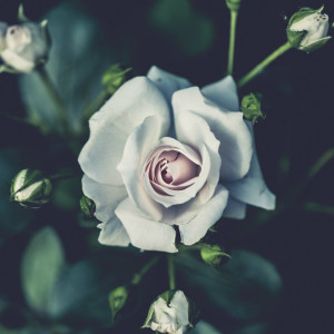 收听Carlos GR的Meaning of You歌词歌曲