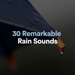 Nature Sounds的专辑30 Remarkable Rain Sounds