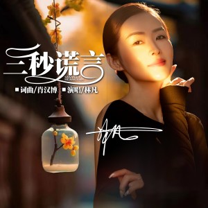 Album 三秒谎言（DJ版） from 林凡（LinFan）