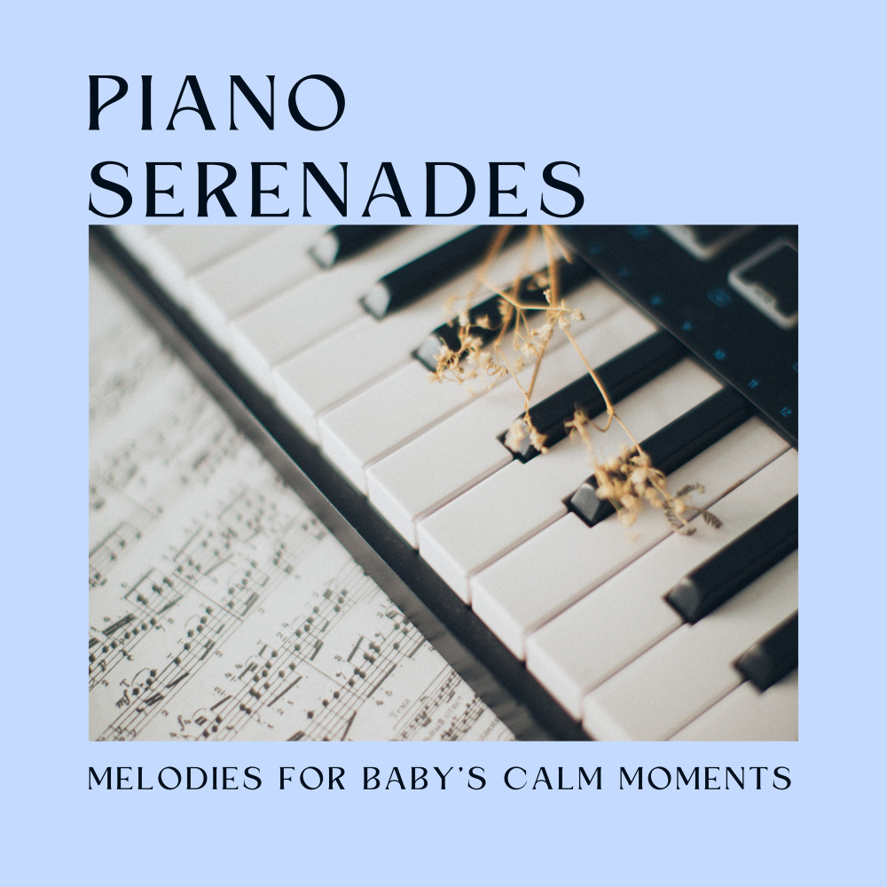 A Serene Morning with Piano