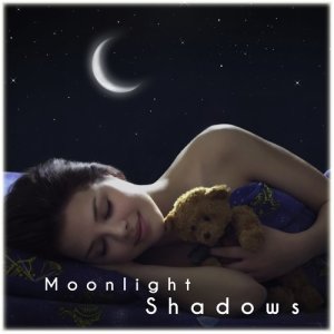 Dan Gibson's Solitudes的專輯Moonlight Shadows