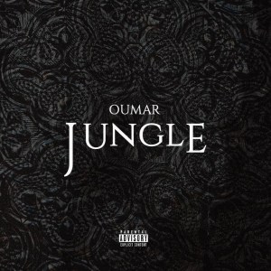 Listen to Jungle (Explicit) song with lyrics from Oumar