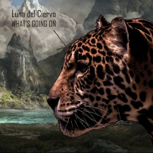 Listen to What's Going On (Original Mix) song with lyrics from Luna Del Ciervo