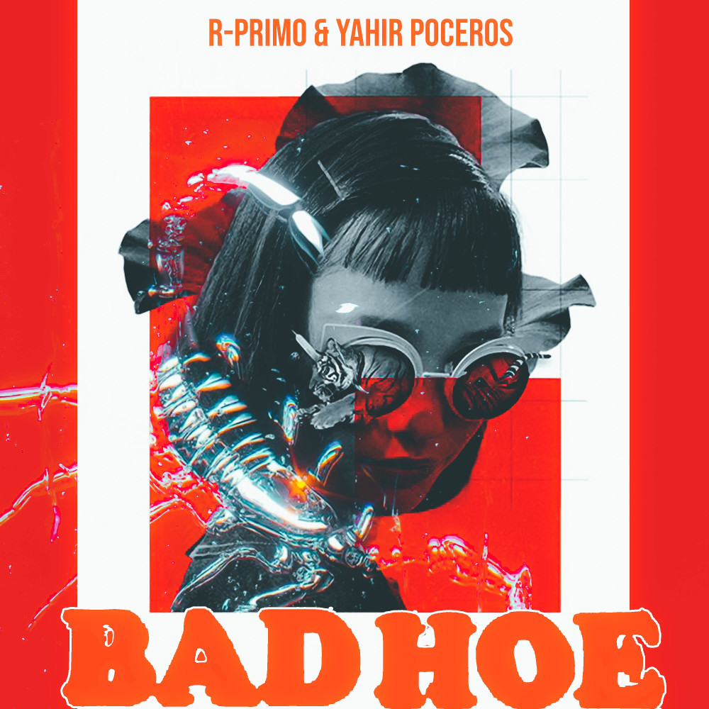 Bad Hoe (Explicit)