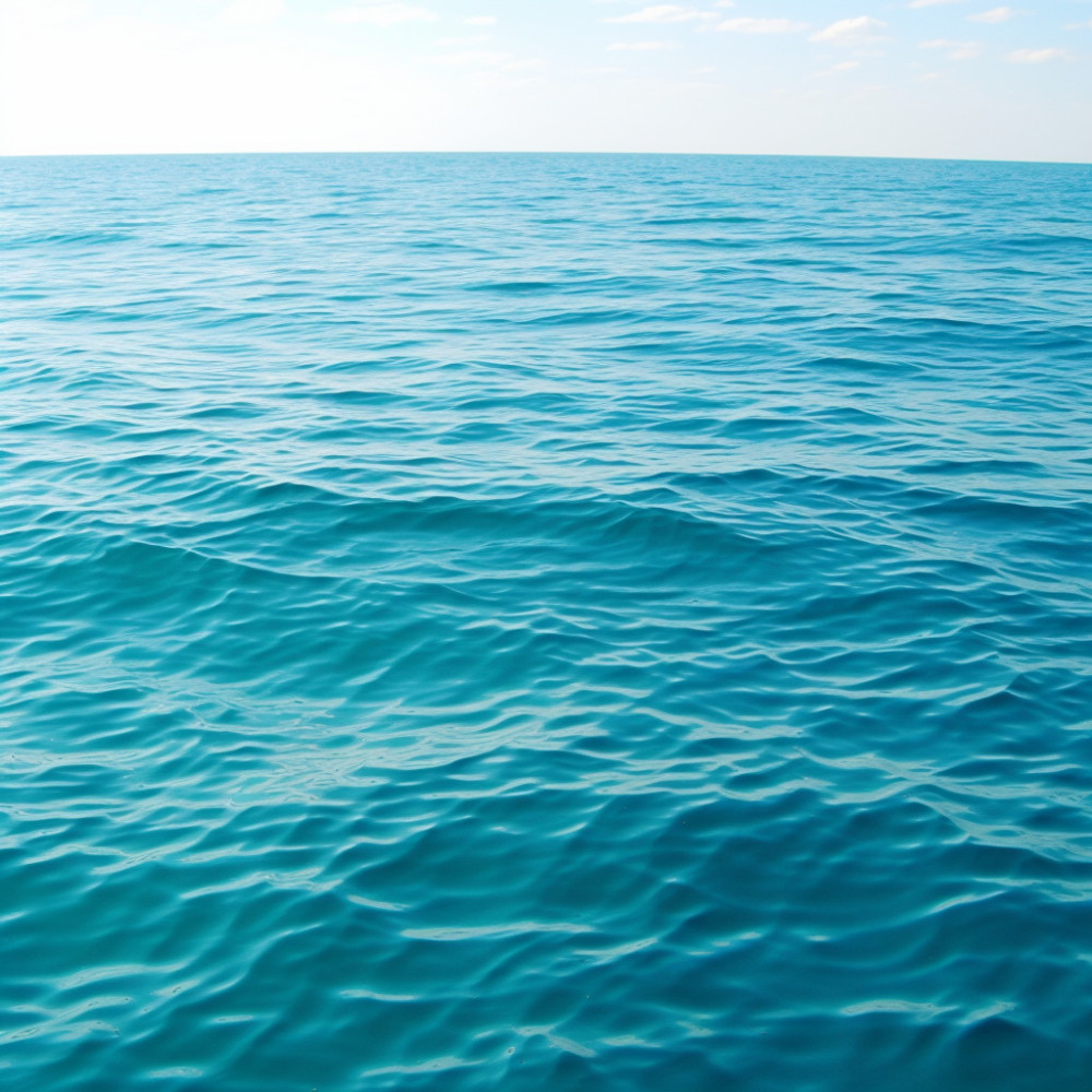 Sonidos Del Mar Sin Límites