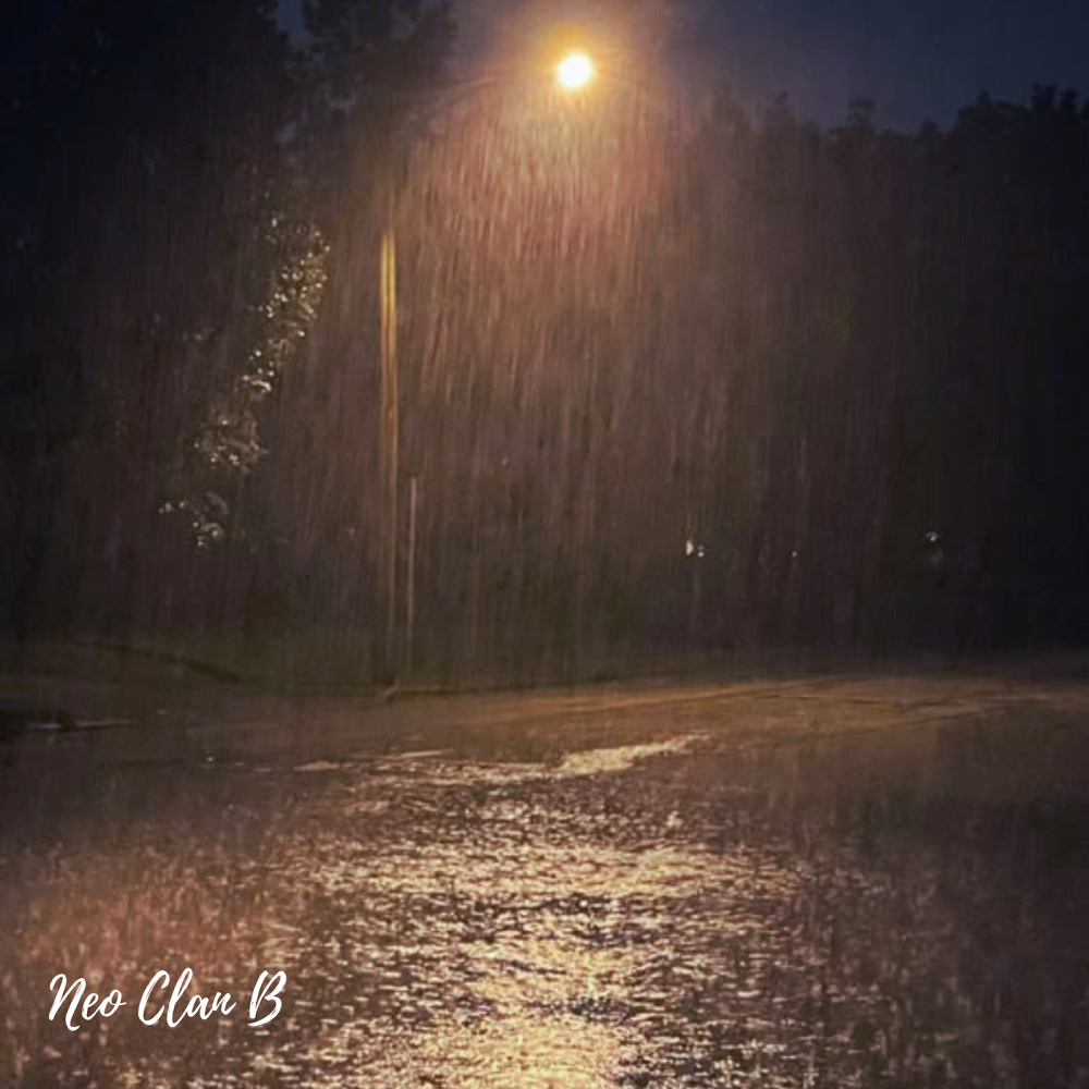 Rainy Night
