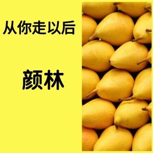Listen to 从你走以后 (伴奏) song with lyrics from 颜林