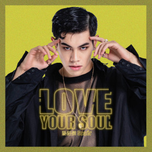 ดาวน์โหลดและฟังเพลง Love Your Soul พร้อมเนื้อเพลงจาก 阳绍杰