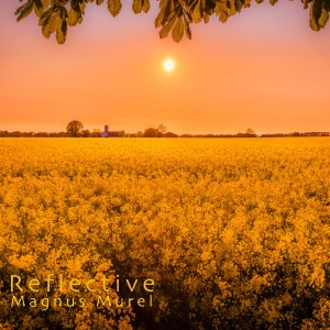 ดาวน์โหลดและฟังเพลง Reflective พร้อมเนื้อเพลงจาก Magnus Murel