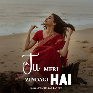 Album Tu Meri Zindagi Hai from Prabhakar Pandey