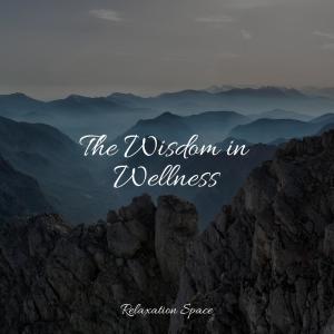Album The Wisdom in Wellness from Meditation Rain Sounds