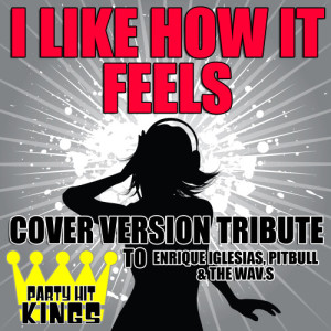 ดาวน์โหลดและฟังเพลง I Like How It Feels พร้อมเนื้อเพลงจาก Party Hit Kings