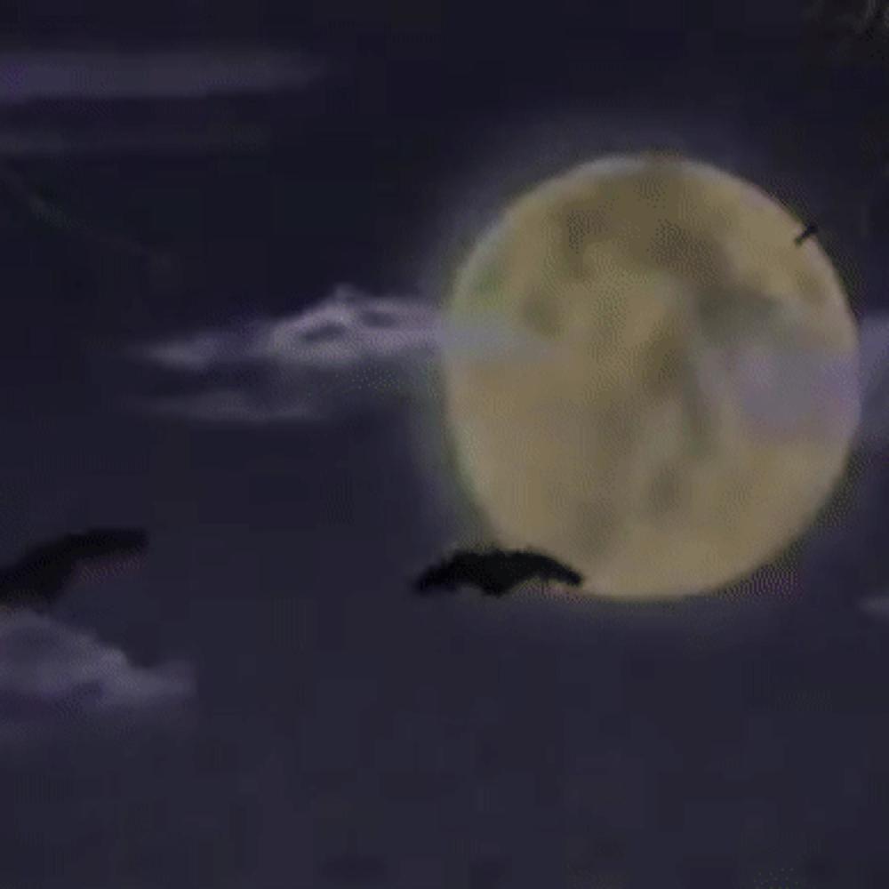 Killer's Beside Me (Explicit)