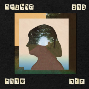 收听נדב הולנדר的חור שחור歌词歌曲