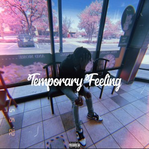 Temporary Feeling (Explicit)