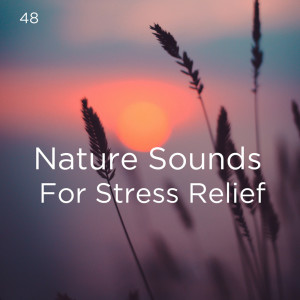 Dengarkan lagu Relajante Oceánica nyanyian Deep Sleep dengan lirik