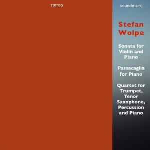 收聽David Tudor的Sonata for Violin and Piano: Allegretto deciso歌詞歌曲