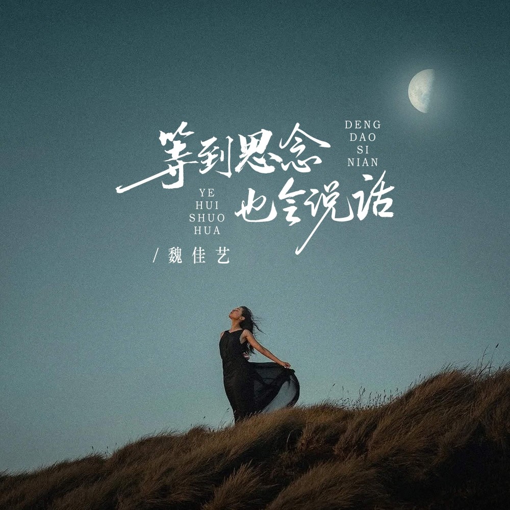 等到思念也会说话（DJ魅音版） (完整版)