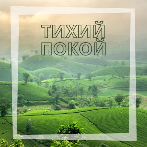 Listen to Нежная гармония song with lyrics from Лёгкий отдых
