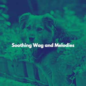 Smooth Jazz Lounge的專輯Soothing Wag and Melodies