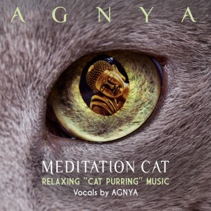 收聽Agnya的Meditation Cat Night (Cat Purring Meditation)歌詞歌曲