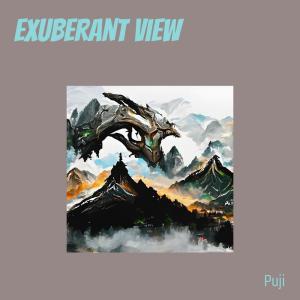 收聽puji的Exuberant View歌詞歌曲