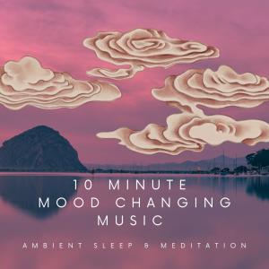 收聽Ambient Sleep的10 Minute Mood Changing Music (feat. Wave Street Music)歌詞歌曲