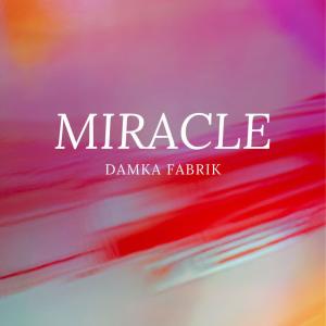 ดาวน์โหลดและฟังเพลง Miracle (feat. Kocmo) (Radio Edit) พร้อมเนื้อเพลงจาก Damka Fabrik