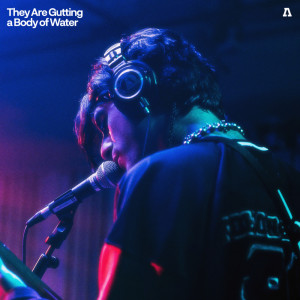 收聽They Are Gutting a Body of Water的a wasp appears (Audiotree Live Version)歌詞歌曲