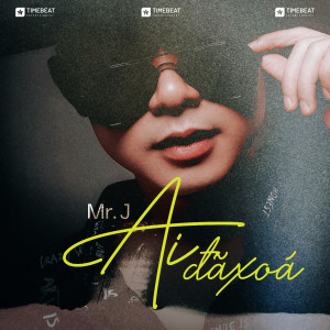 Listen to Ai Đã Xóa song with lyrics from Mr J