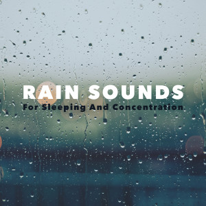 ดาวน์โหลดและฟังเพลง Light Thunderstorm พร้อมเนื้อเพลงจาก Nature Sounds