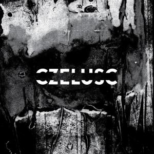 Various Artists的專輯W#5