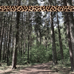 อัลบัม Leopard Tape 003 ศิลปิน Andreas Foxx